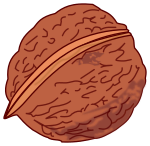 walnut colored